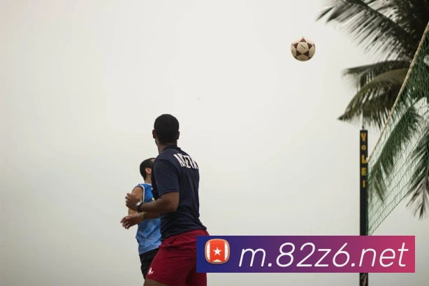 尊龙z6APP 封面图